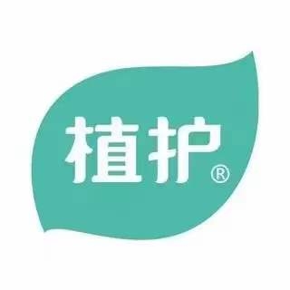 維亞造紙機(jī)械與來賓廣西植護(hù)云商7、8號機(jī)正式簽約
